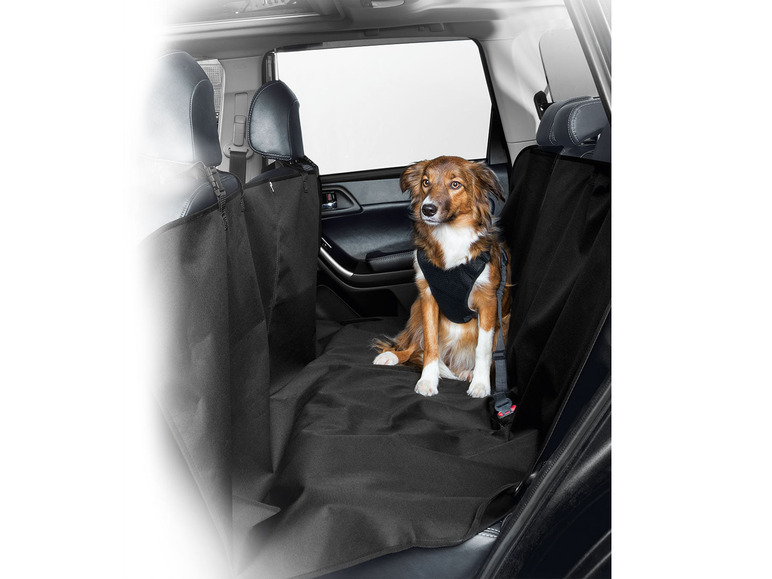 Prejsť na zobrazenie na celú obrazovku: ZOOFARI® Ochranná deka do auta pre psa – obrázok 2