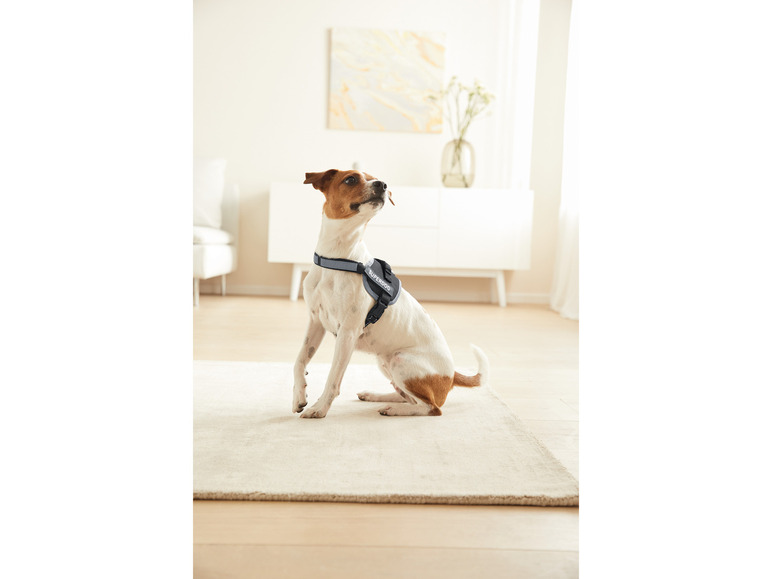 Prejsť na zobrazenie na celú obrazovku: zoofari® Postroj pre psa s reflexnými prvkami – obrázok 14