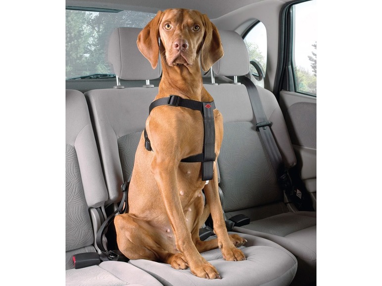 Prejsť na zobrazenie na celú obrazovku: europet bernina Bezpečnostný pás pre psa do auta – obrázok 2