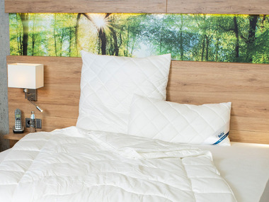 BeCo Protiroztočový vankúš Proneem