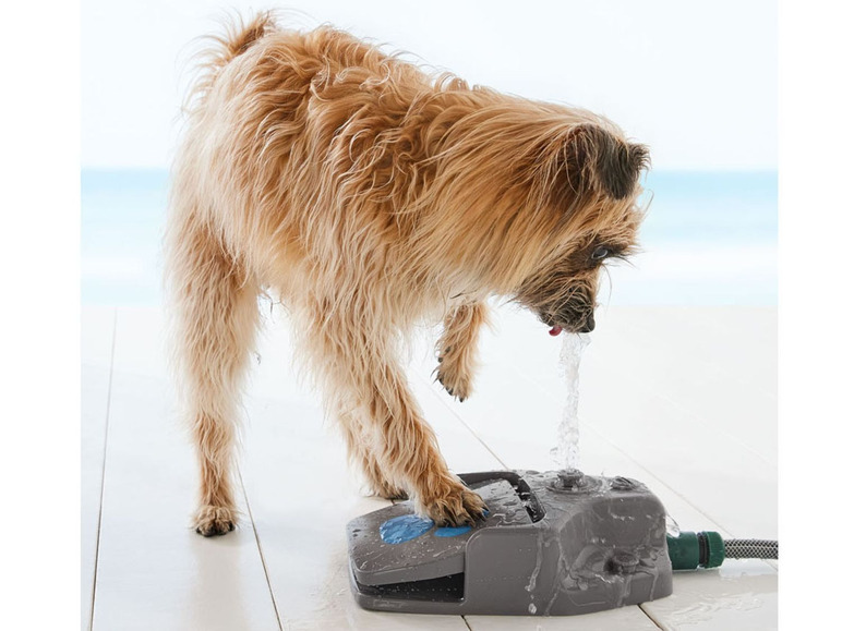 Prejsť na zobrazenie na celú obrazovku: ZOOFARI® Vodná fontána pre psov – obrázok 5