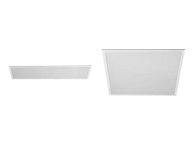 LIVARNO home Nástenné/stropné LED svietidlo