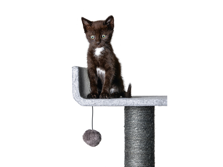 Prejsť na zobrazenie na celú obrazovku: Karlie Škrabadlo pre mačky, sivé – obrázok 13