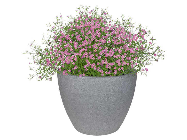 Prejsť na zobrazenie na celú obrazovku: PARKSIDE® Okrúhly kvetináč, Ø 50 cm – obrázok 3