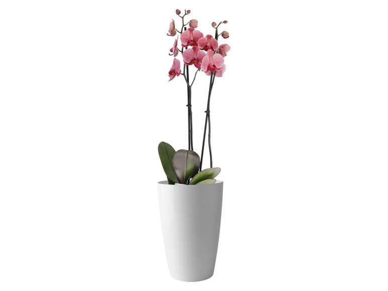 Prejsť na zobrazenie na celú obrazovku: PARKSIDE® Kvetináč, 40 cm – obrázok 2