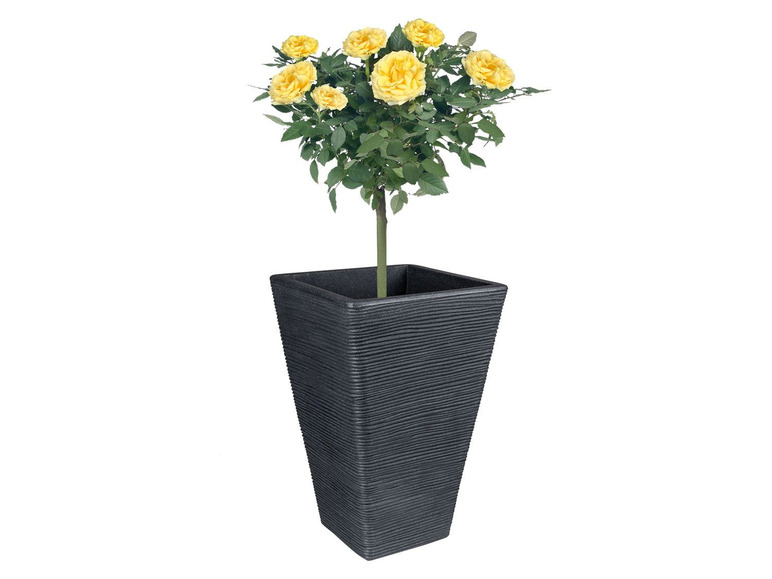 Prejsť na zobrazenie na celú obrazovku: PARKSIDE® Hranatý kvetináč, 55 cm – obrázok 4