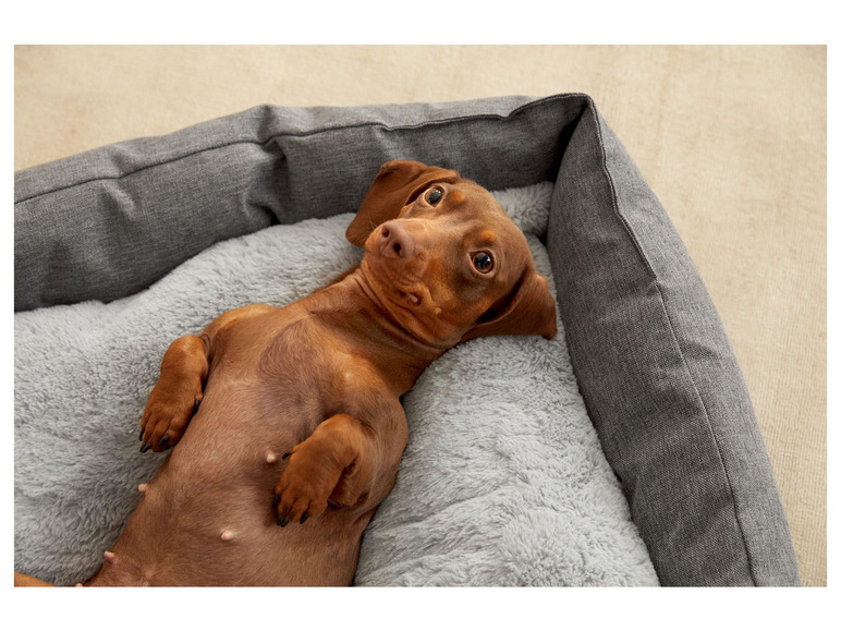 Prejsť na zobrazenie na celú obrazovku: Zoofari Pelech pre psa – obrázok 3