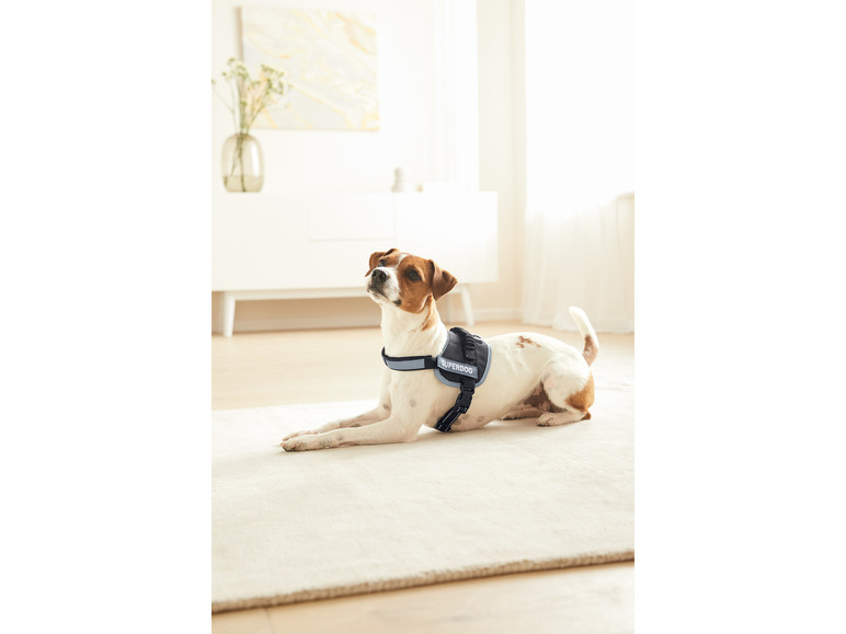 Prejsť na zobrazenie na celú obrazovku: zoofari® Postroj pre psa s reflexnými prvkami – obrázok 15