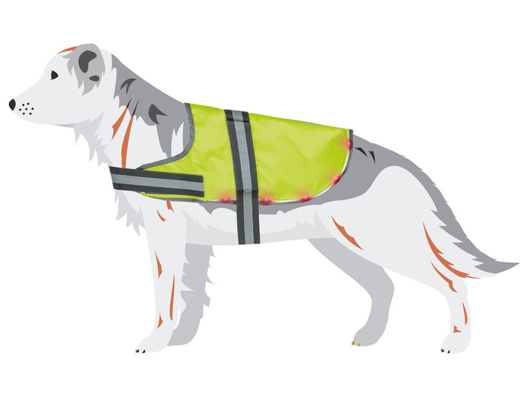 Prejsť na zobrazenie na celú obrazovku: zoofari® LED kabát pre psa – obrázok 11