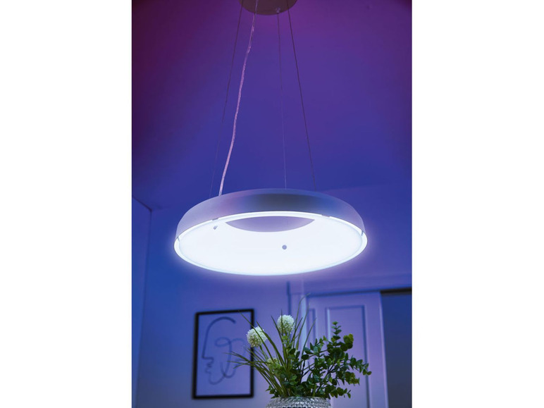 Prejsť na zobrazenie na celú obrazovku: LIVARNO LUX® LED závesné svietidlo Zigbee Smart Home – obrázok 5