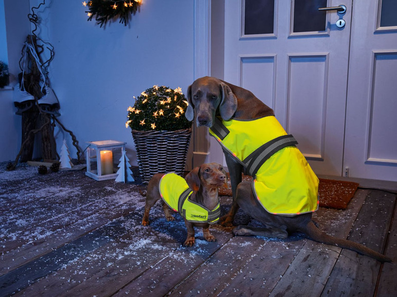 Prejsť na zobrazenie na celú obrazovku: zoofari® LED kabát pre psa – obrázok 2
