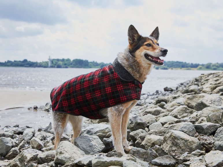 Prejsť na zobrazenie na celú obrazovku: Zoofari Pulóver/kabát pre psa – obrázok 5