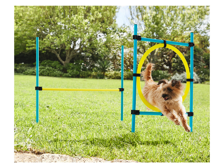 Prejsť na zobrazenie na celú obrazovku: zoofari® Pomôcky na psí výcvik – obrázok 5