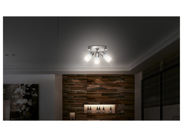 Prejsť na zobrazenie na celú obrazovku: LIVARNO home Stropné LED svietidlo – obrázok 11
