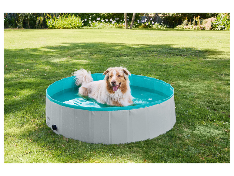 Prejsť na zobrazenie na celú obrazovku: zoofari® Bazén pre psa, Ø 120 cm – obrázok 3