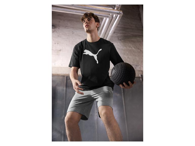Puma Pánske teplákové šortky (sivá, M)