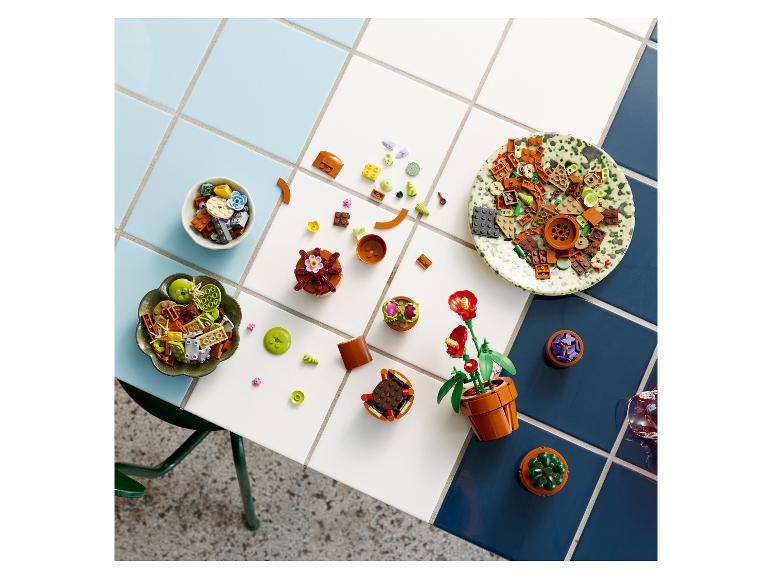 Kúsky botanickej kolekcie Lego a zostavené rastliny na dláždenom stole.