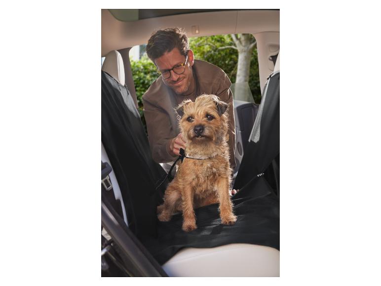 Muž v aute pripína psa bezpečnostným pásom.