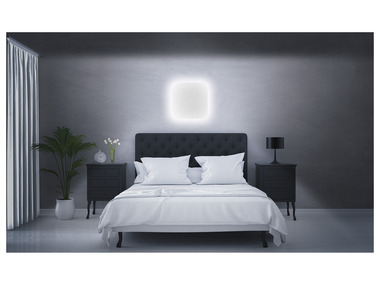 LIVARNO home Nástenná a stropná LED lampa