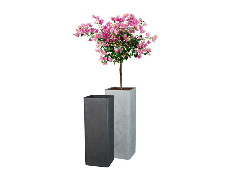 Prejsť na zobrazenie na celú obrazovku: Scheurich Vysoký kvetináč Cube High, 26 x 26 x 70 cm – obrázok 7