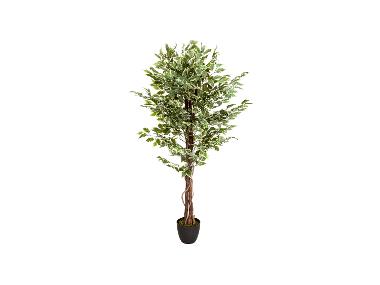 hjh OFFICE Umelá rastlina FICUS