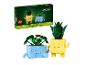 Súprava LEGO Botanicals Happy Plants s dvoma zostaviteľnými rastlinami v roztomilých kvetináčoch.