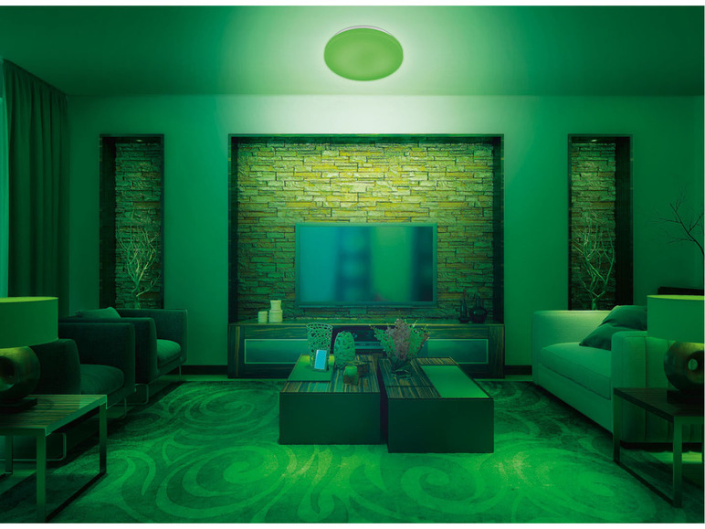 Prejsť na zobrazenie na celú obrazovku: LIVARNO home Stropné LED svietidlo Zigbee Smart – obrázok 12