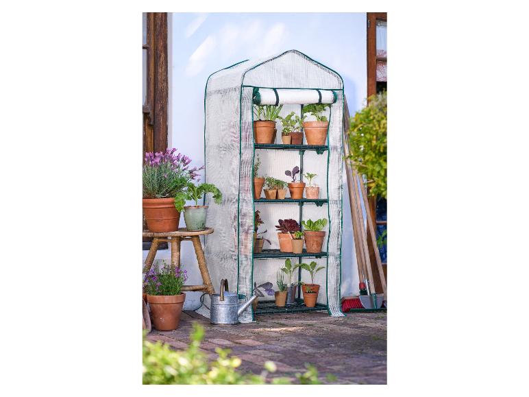 Foliovnik Mini Lidl (fóliovníků mini, jako jsou, mini Lidlu, Některé fóliovníky) Foliovnik Mini Lidl