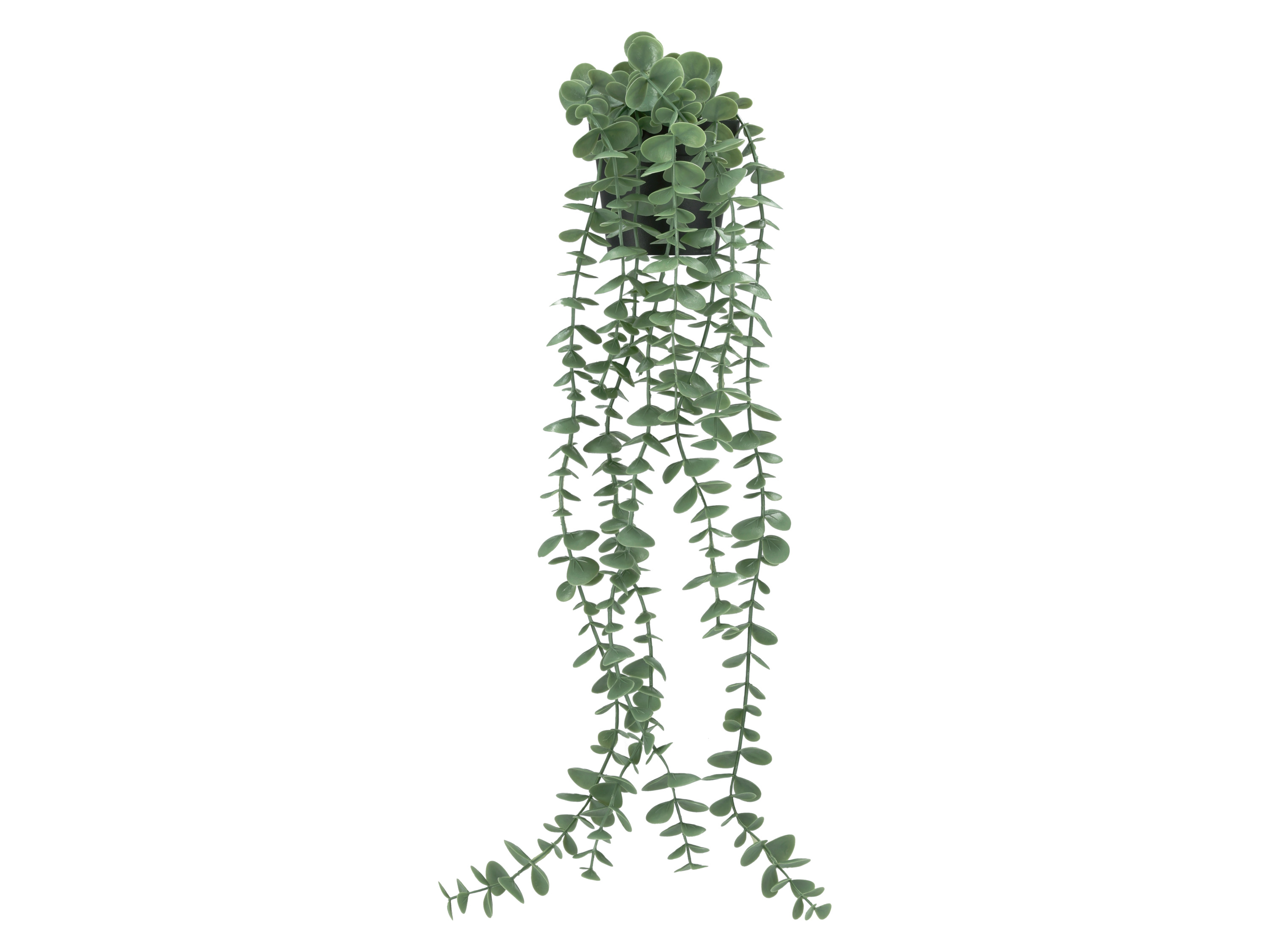 E-shop LIVARNO® Umelá rastlina (eukalyptus)