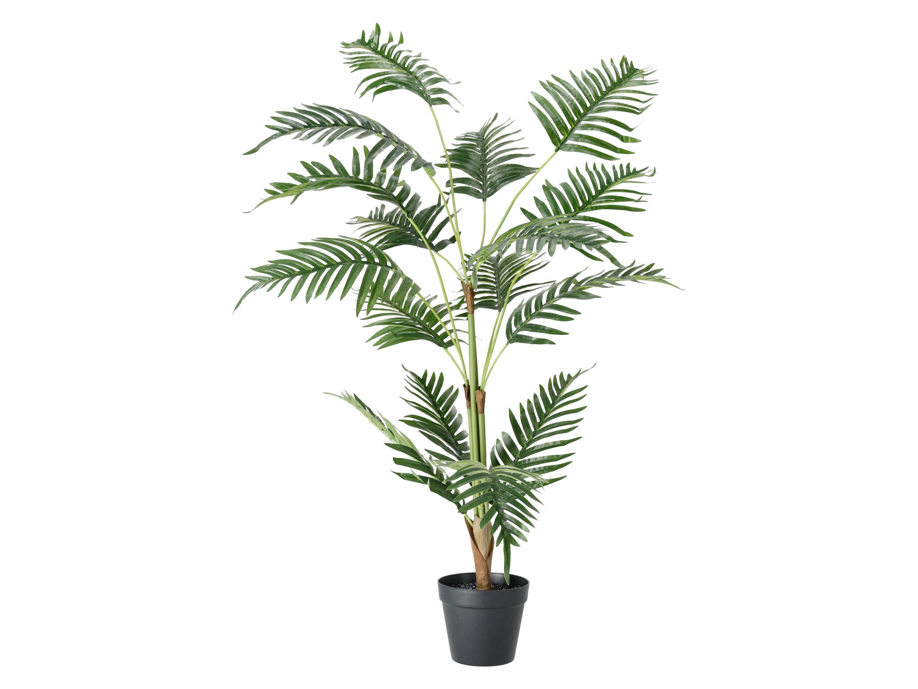LIVARNO® Umelá rastlina, 125 cm (palma)