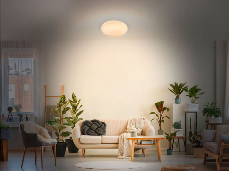 Prejsť na zobrazenie na celú obrazovku: LIVARNO home Stropné LED svietidlo – obrázok 3