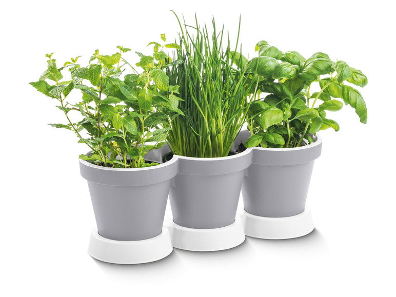Prejsť na zobrazenie na celú obrazovku: PARKSIDE® Trojitý kvetináč na bylinky – obrázok 6