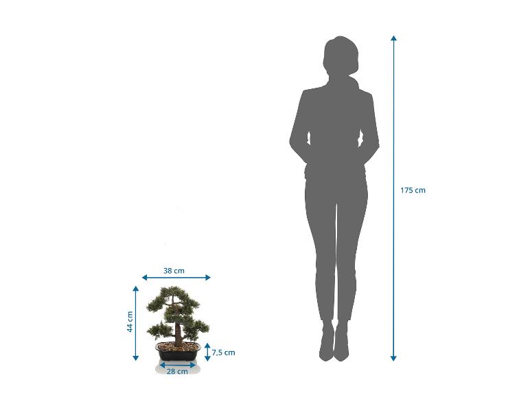 Umelý bonsaj vysoký 44 cm, vedľa siluety osoby vysokej 175 cm.