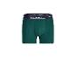 Zelené boxerky s tmavomodrým elastickým pásom a nápisom 'HAPPY SHORTS'.
