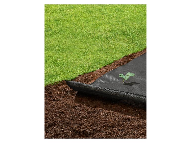 Čierna netkaná textília na mulčovanie s mladou rastlinkou a trávnikom