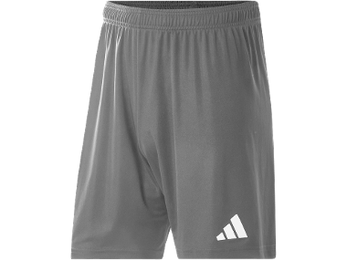 ADIDAS Pánske šortky Entrada 26
