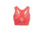 Zadný pohľad na koralovo ružovú športovú podprsenku so sieťovanými detailmi a zapínaním.