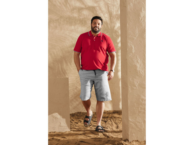 Prejsť na zobrazenie na celú obrazovku: LIVERGY® Pánske polo tričko XXL – obrázok 5