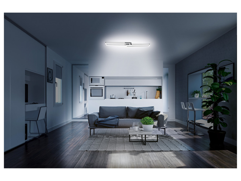 Prejsť na zobrazenie na celú obrazovku: LIVARNO home Stropné LED svietidlo – obrázok 2