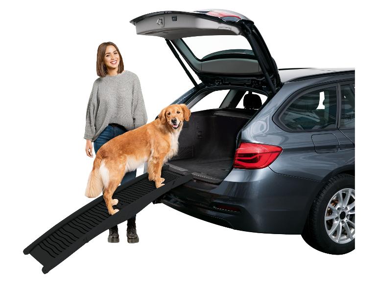 Rampa pre zvieratá, auto a Golden Retriever.