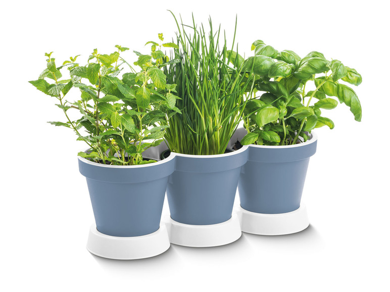 Prejsť na zobrazenie na celú obrazovku: PARKSIDE® Trojitý kvetináč na bylinky – obrázok 9