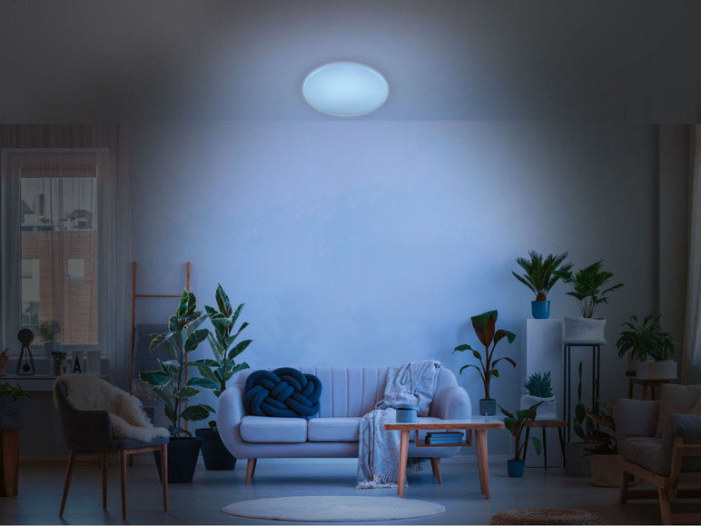 Prejsť na zobrazenie na celú obrazovku: LIVARNO home Stropné LED svietidlo – obrázok 4