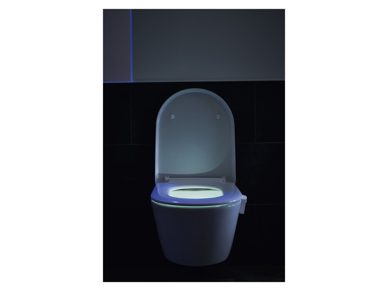 Prejsť na zobrazenie na celú obrazovku: LIVARNO home LED svetlo na WC – obrázok 14
