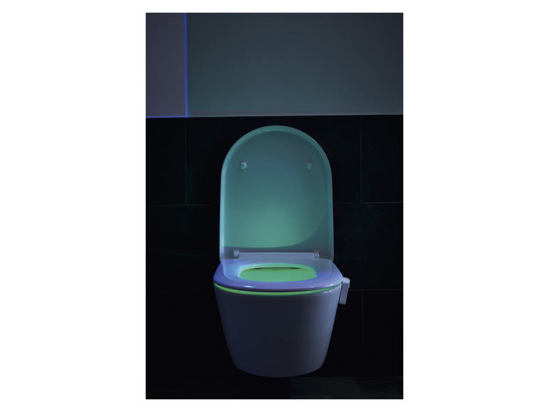 Prejsť na zobrazenie na celú obrazovku: LIVARNO home LED svetlo na WC – obrázok 8