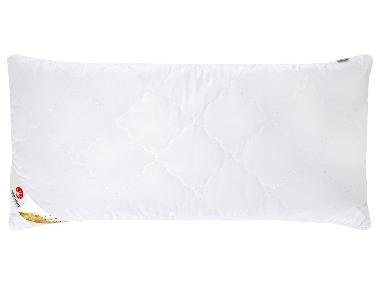 LIVARNO® Vankúš Polygiene®, 80 x 40 cm