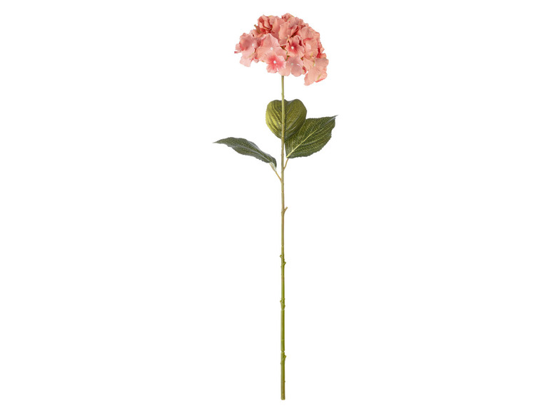 Prejsť na zobrazenie na celú obrazovku: LIVARNO home Umelá kvetina – obrázok 1
