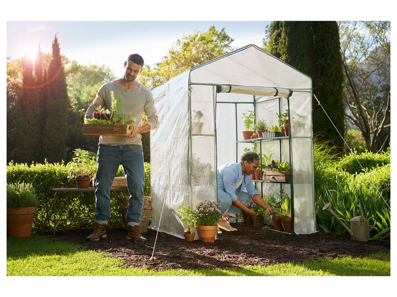 Foliovnik Mini Lidl (fóliovníků mini, jako jsou, mini Lidlu, Některé fóliovníky) Foliovnik Mini Lidl
