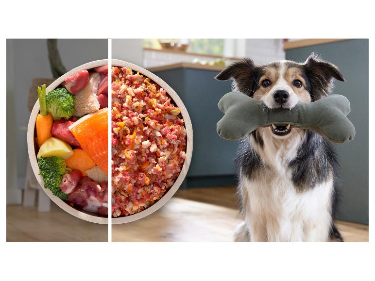 Krmivo pre psov: surové prísady a mletá zmes, so šťastným psom držíacim hračku kosť.