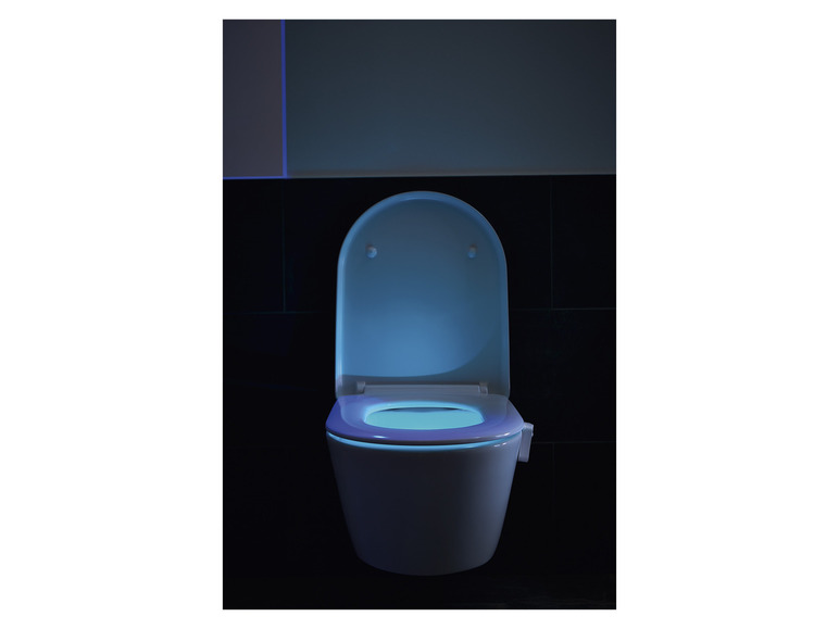 Prejsť na zobrazenie na celú obrazovku: LIVARNO home LED svetlo na WC – obrázok 13