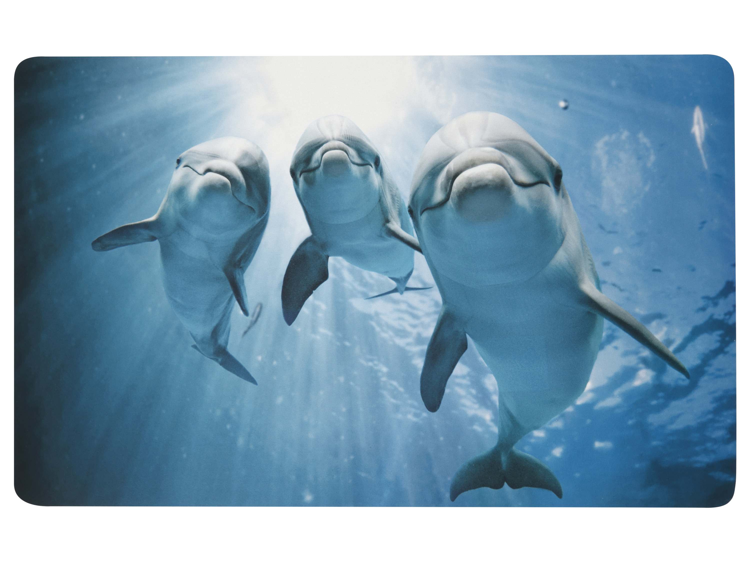 LIVARNO® Koberček do kúpeľne, 50 x 80 cm (delfín )